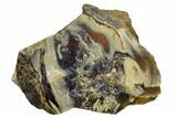 3.6" Rough Blue Indonesian Amber - West Java, Indonesia - #131314-1